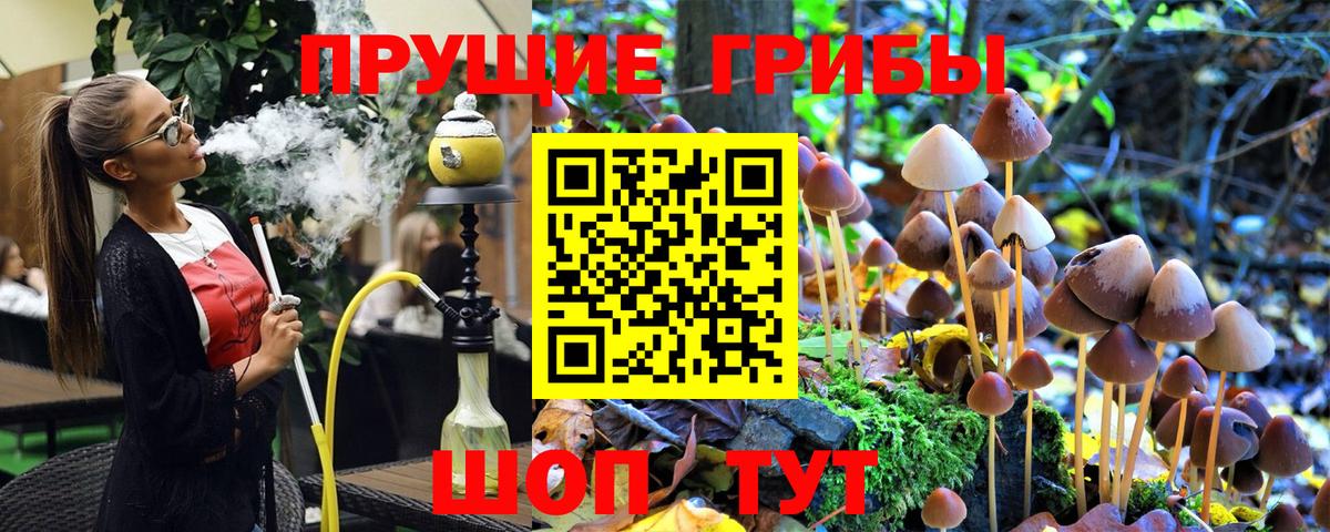 Жуковский  Псилоцибиновые грибы прущие грибы  Вход с VPN 