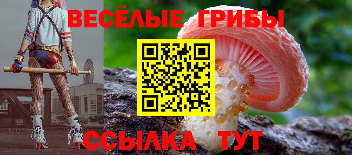 Псилоцибиновые грибы GOLDEN TEACHER Жуковский